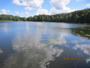 IMG_0933