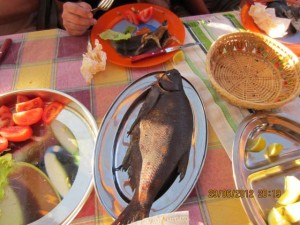 IMG_0946